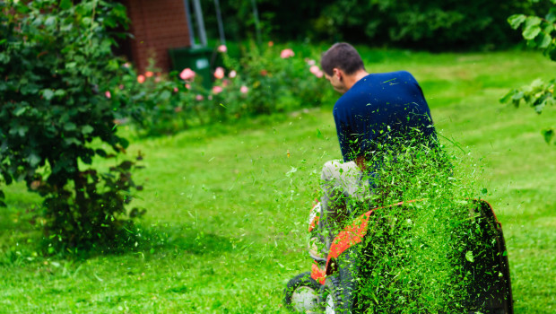 Five landscaping & yard care secrets from the pros